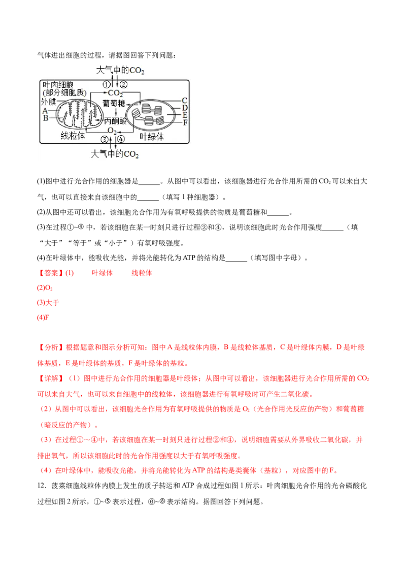 考点通关卷11细胞代谢综合分析（解析版）_2024年新高考资料_1.2024一轮复习_2024年高考生物一轮复习考点通关卷（新高考通用）