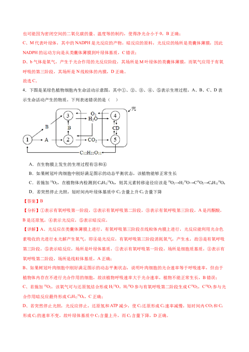 考点通关卷11细胞代谢综合分析（解析版）_2024年新高考资料_1.2024一轮复习_2024年高考生物一轮复习考点通关卷（新高考通用）