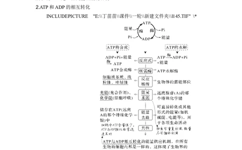 第7讲ATP和酶_2024年新高考资料_1.2024一轮复习_2024年高考生物一轮复习讲义（新人教版）_另附1套Word版题库_必修1_第三单元细胞的能量供应和利用