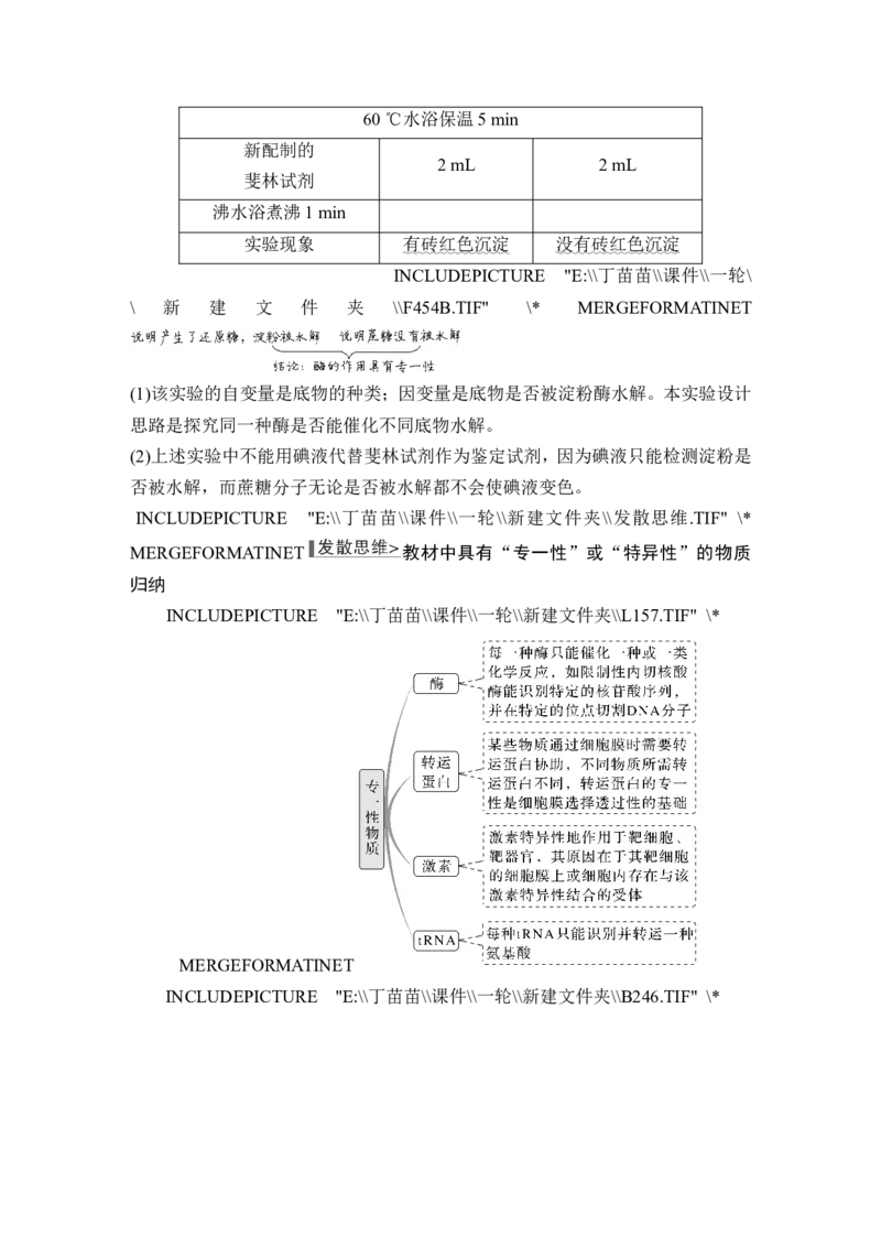 第7讲ATP和酶_2024年新高考资料_1.2024一轮复习_2024年高考生物一轮复习讲义（新人教版）_另附1套Word版题库_必修1_第三单元细胞的能量供应和利用