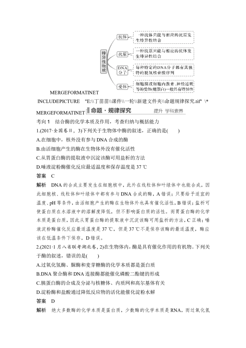 第7讲ATP和酶_2024年新高考资料_1.2024一轮复习_2024年高考生物一轮复习讲义（新人教版）_另附1套Word版题库_必修1_第三单元细胞的能量供应和利用
