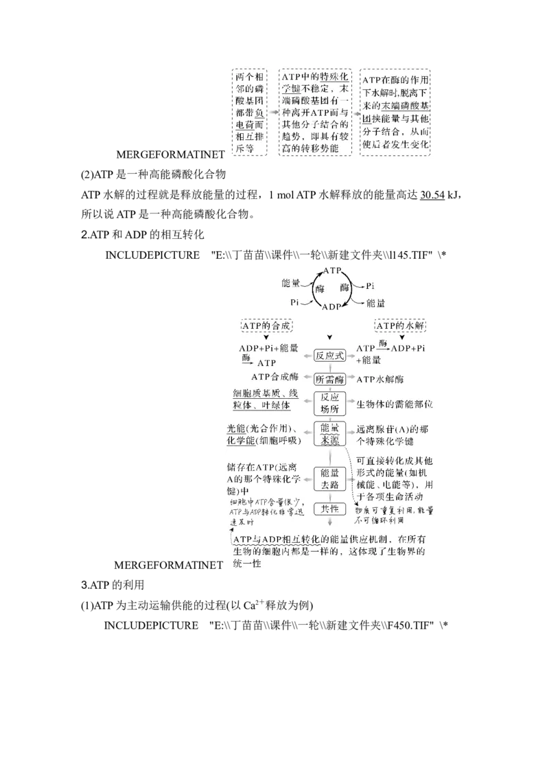第7讲ATP和酶_2024年新高考资料_1.2024一轮复习_2024年高考生物一轮复习讲义（新人教版）_另附1套Word版题库_必修1_第三单元细胞的能量供应和利用