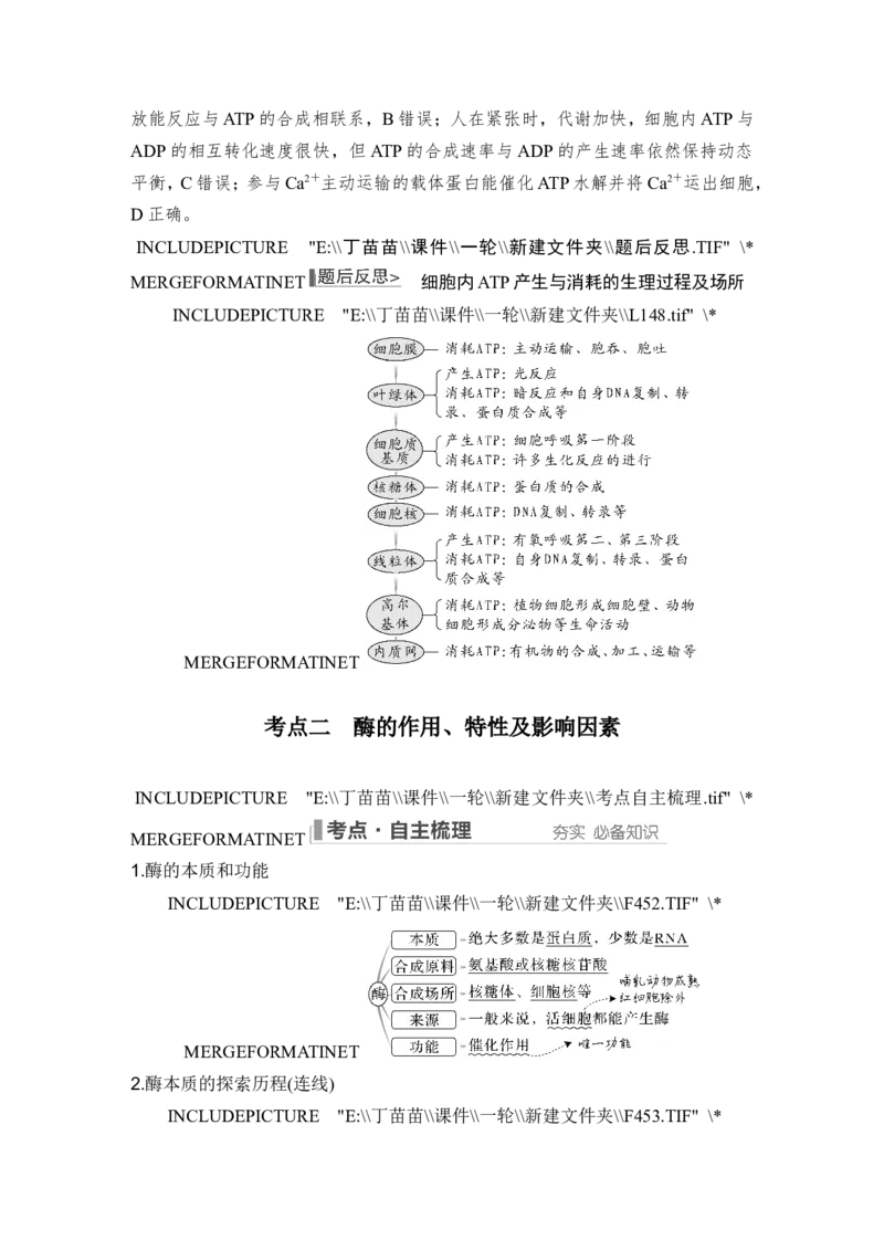 第7讲ATP和酶_2024年新高考资料_1.2024一轮复习_2024年高考生物一轮复习讲义（新人教版）_另附1套Word版题库_必修1_第三单元细胞的能量供应和利用