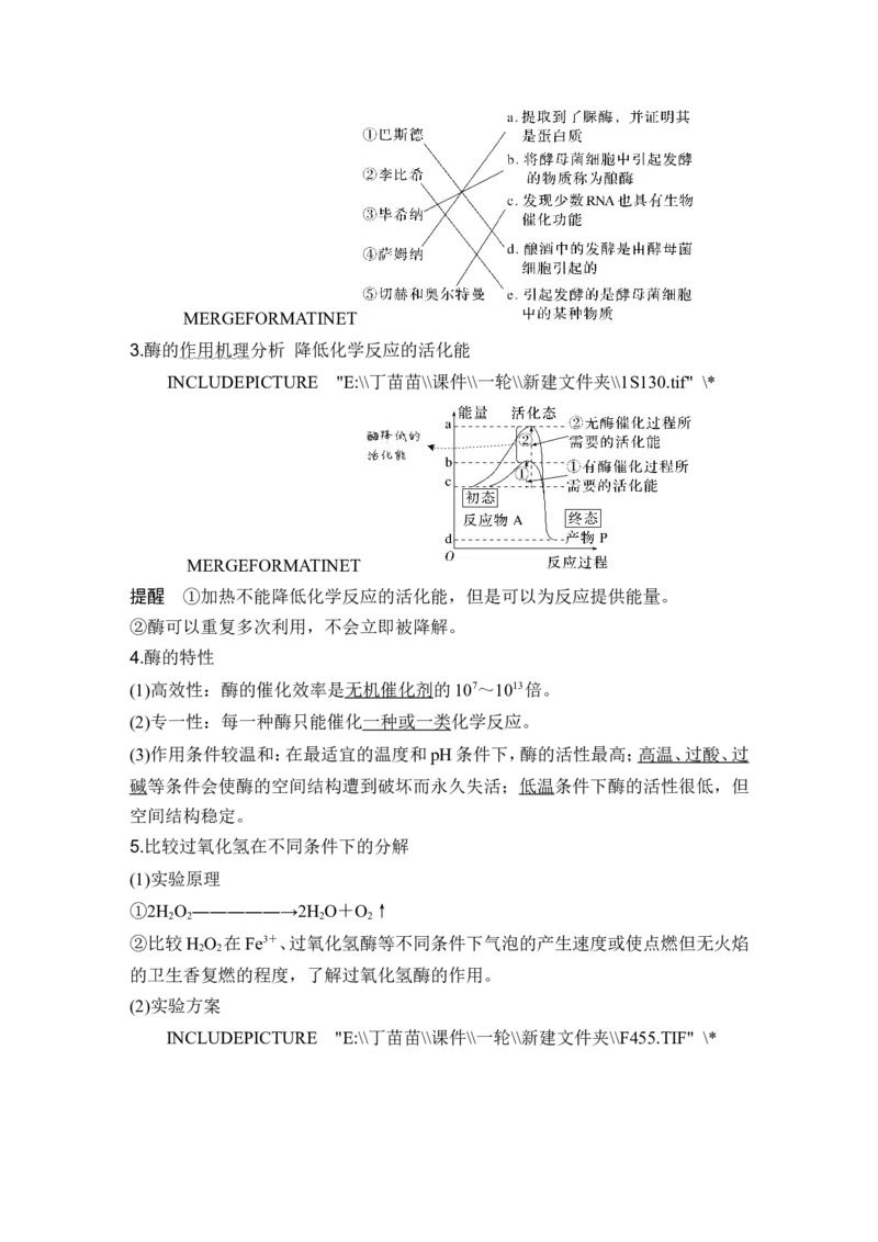 第7讲ATP和酶_2024年新高考资料_1.2024一轮复习_2024年高考生物一轮复习讲义（新人教版）_另附1套Word版题库_必修1_第三单元细胞的能量供应和利用