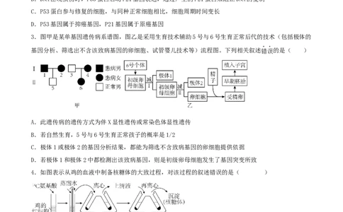 黄金卷01（考试版）-赢在高考&middot;黄金8卷备战2024年高考生物模拟卷（广西专用）_2024年新高考资料_4.2024高考模拟预测试卷
