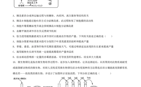黄金卷01（考试版）-赢在高考&middot;黄金8卷备战2024年高考生物模拟卷（广西专用）_2024年新高考资料_4.2024高考模拟预测试卷