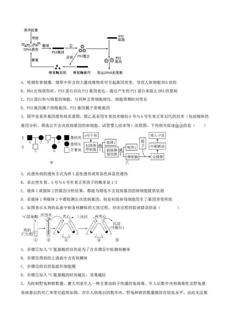 黄金卷01（考试版）-赢在高考&middot;黄金8卷备战2024年高考生物模拟卷（广西专用）_2024年新高考资料_4.2024高考模拟预测试卷