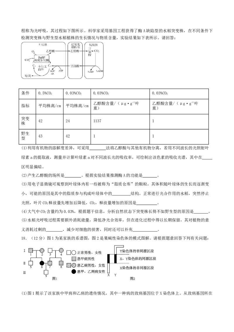 黄金卷01（考试版）-赢在高考&middot;黄金8卷备战2024年高考生物模拟卷（广西专用）_2024年新高考资料_4.2024高考模拟预测试卷