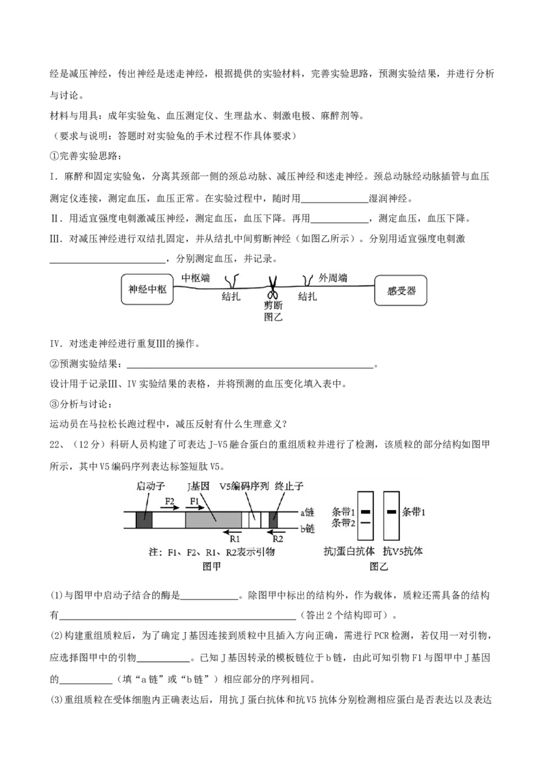 黄金卷01（考试版）-赢在高考&middot;黄金8卷备战2024年高考生物模拟卷（湖北专用）_2024年新高考资料_4.2024高考模拟预测试卷