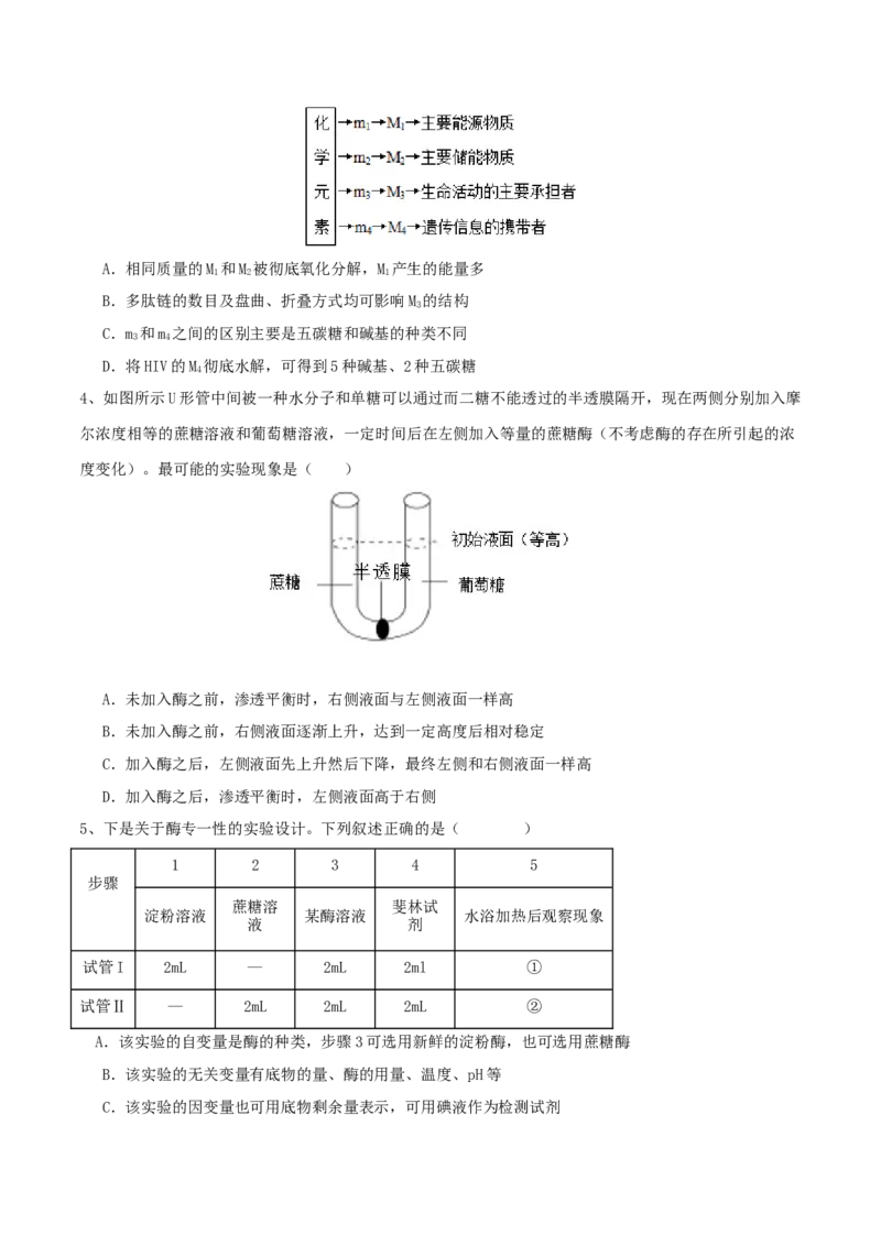 黄金卷01（考试版）-赢在高考&middot;黄金8卷备战2024年高考生物模拟卷（湖北专用）_2024年新高考资料_4.2024高考模拟预测试卷