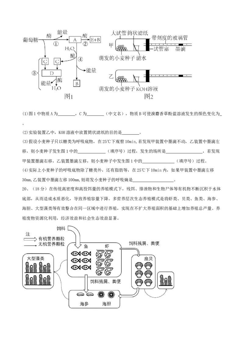 黄金卷01（考试版）-赢在高考&middot;黄金8卷备战2024年高考生物模拟卷（湖北专用）_2024年新高考资料_4.2024高考模拟预测试卷