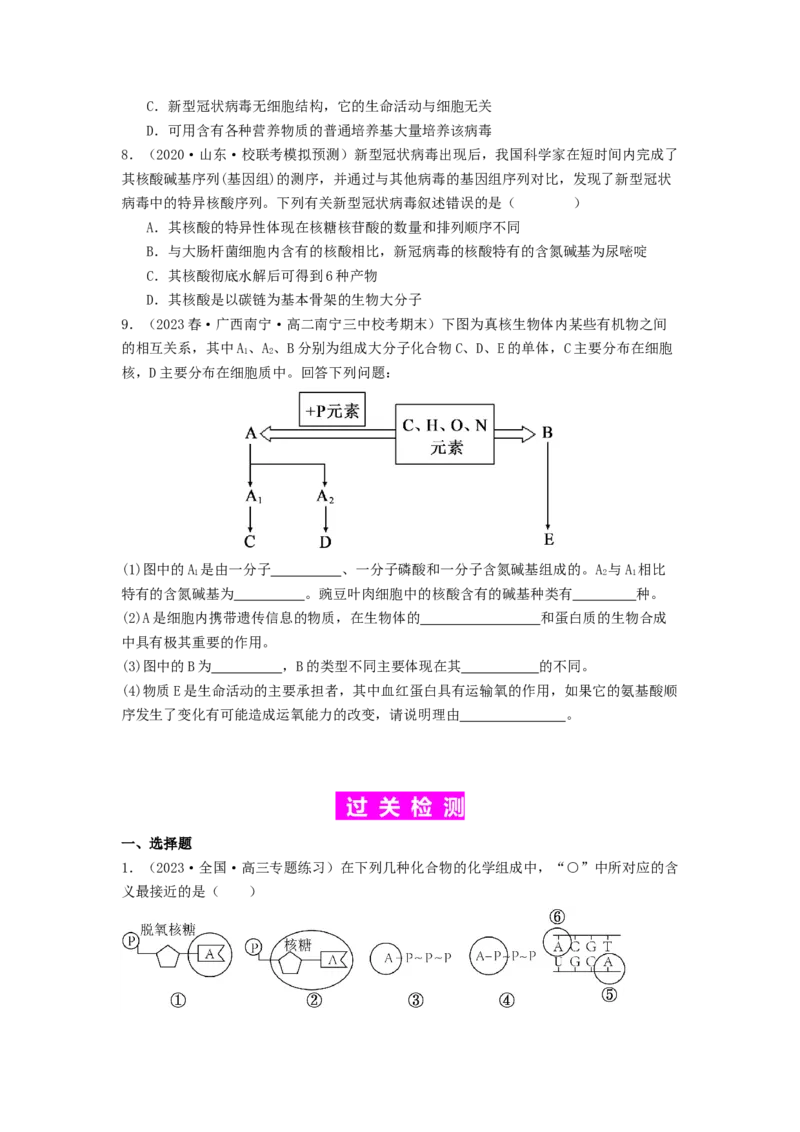 专题04核酸（原卷版）_通用版（老高考）复习资料_2024年复习资料_完备战2024年高考生物一轮复习抢分特训（全国通用）