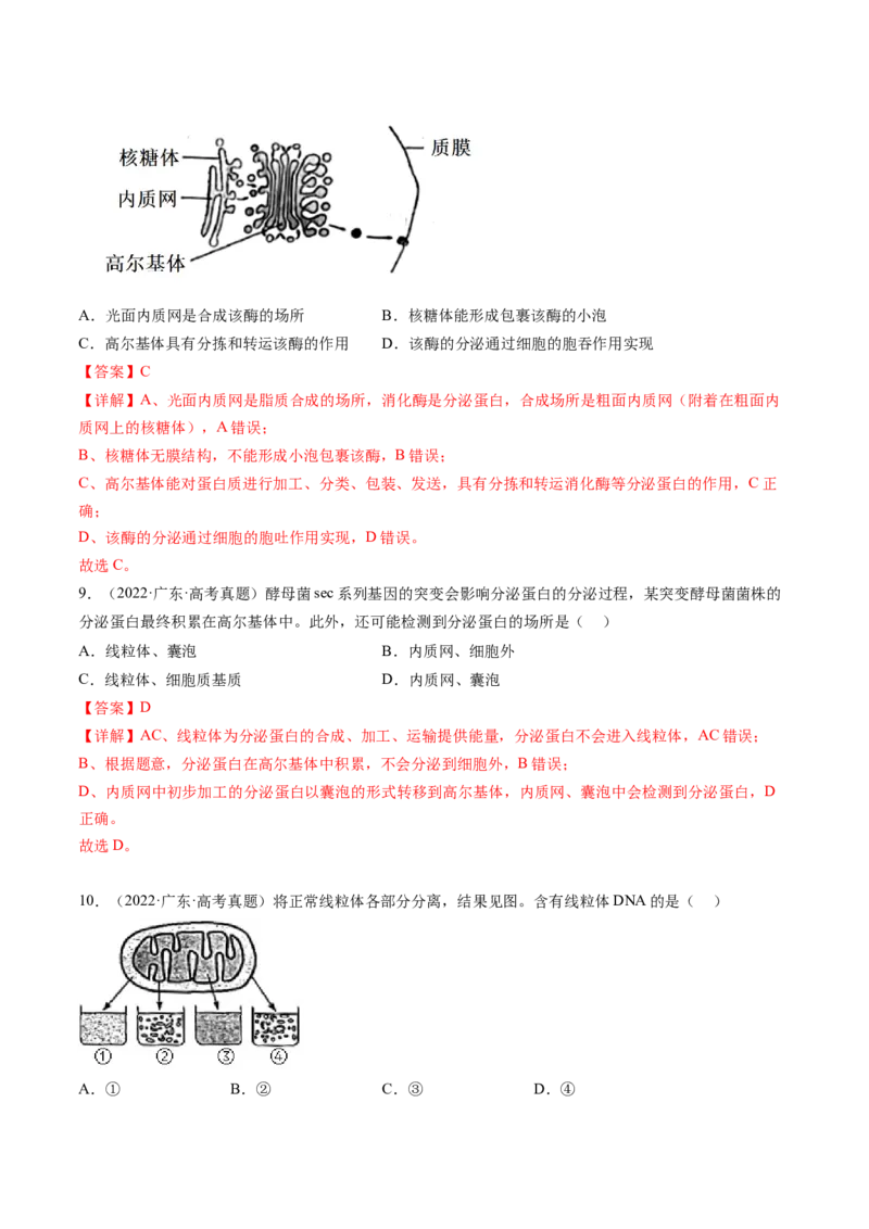 第6讲细胞质和生物膜系统（练习）（解析版）_2024年新高考资料_1.2024一轮复习_2024年高考生物一轮复习讲练测（新教材新高考）