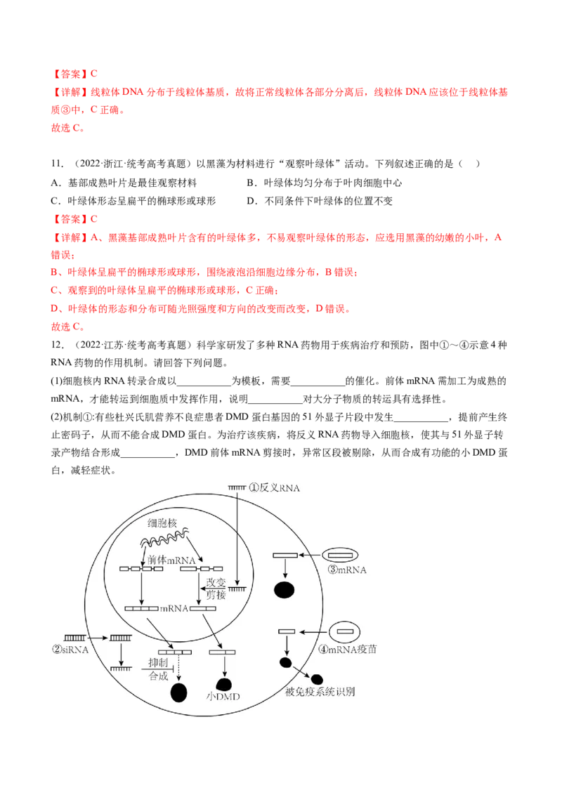 第6讲细胞质和生物膜系统（练习）（解析版）_2024年新高考资料_1.2024一轮复习_2024年高考生物一轮复习讲练测（新教材新高考）