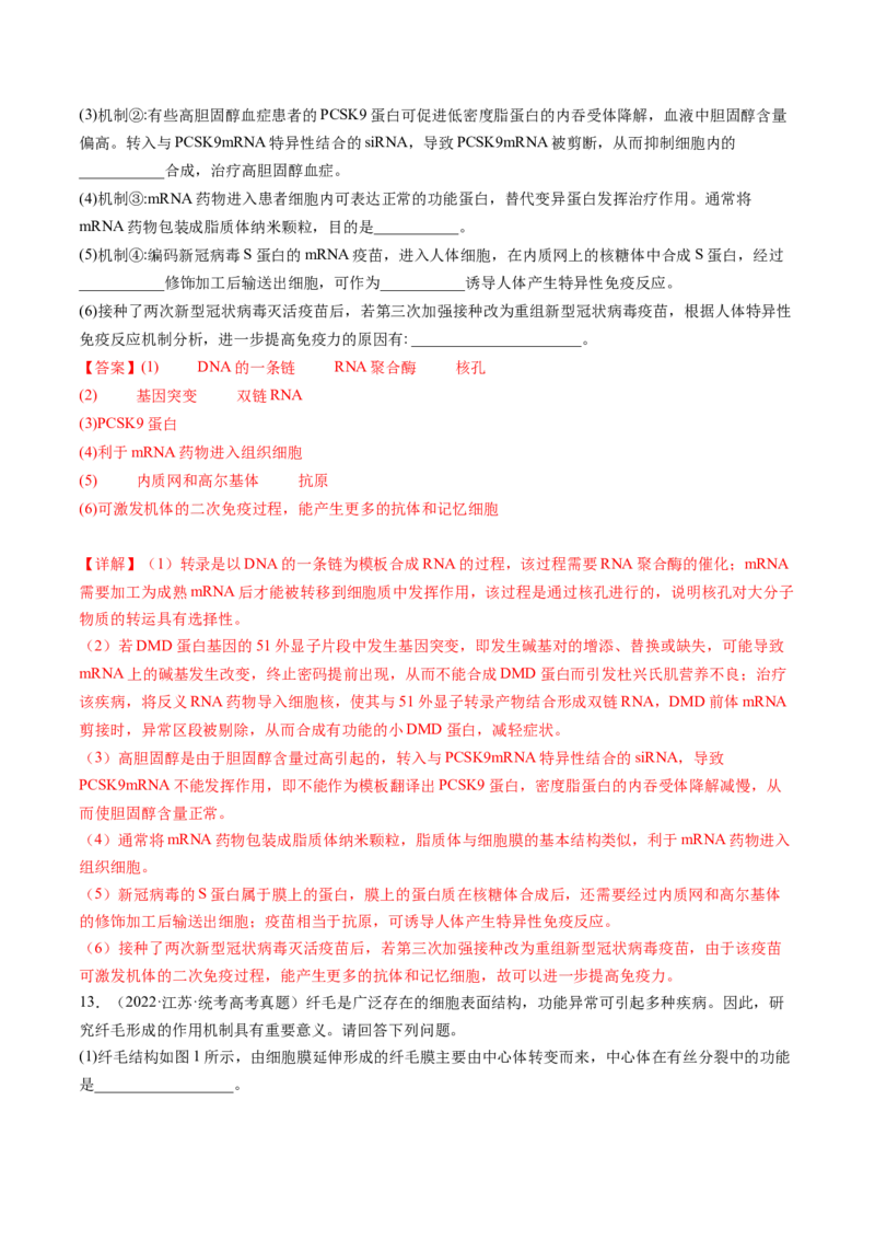 第6讲细胞质和生物膜系统（练习）（解析版）_2024年新高考资料_1.2024一轮复习_2024年高考生物一轮复习讲练测（新教材新高考）