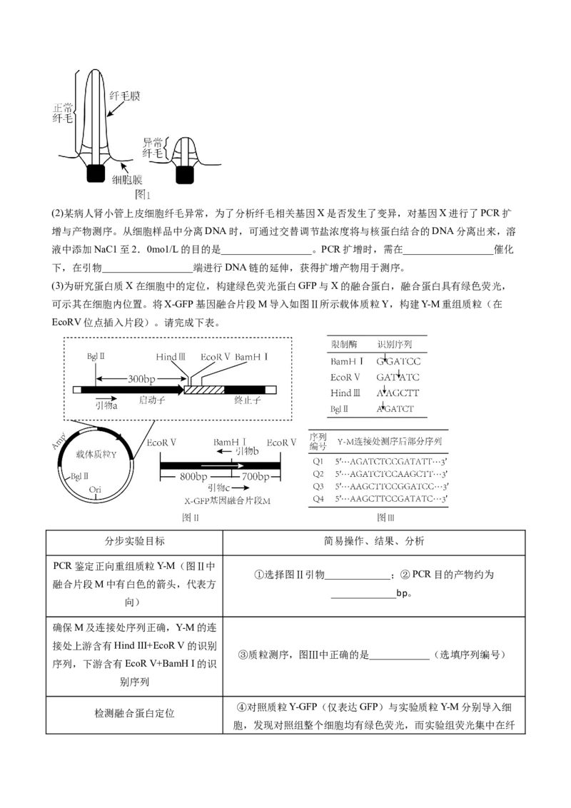 第6讲细胞质和生物膜系统（练习）（解析版）_2024年新高考资料_1.2024一轮复习_2024年高考生物一轮复习讲练测（新教材新高考）