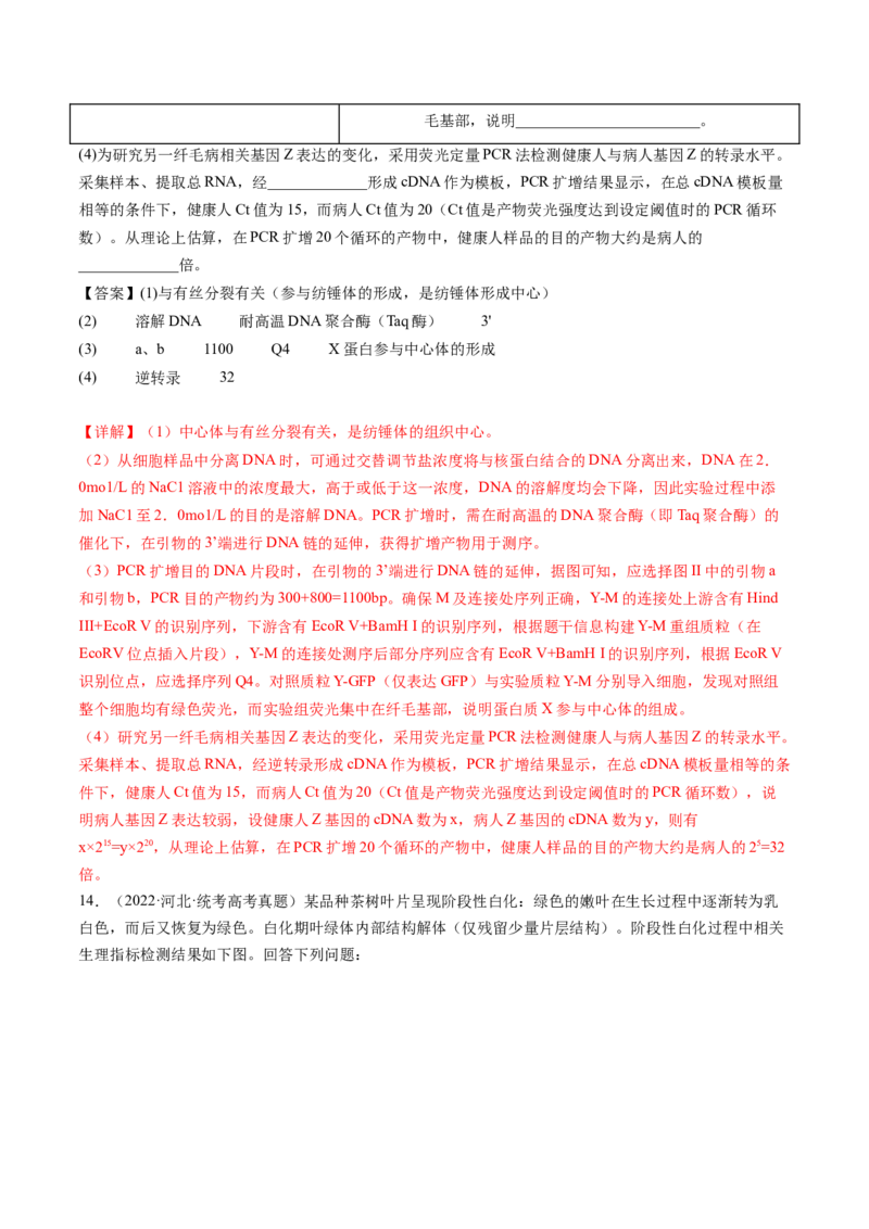 第6讲细胞质和生物膜系统（练习）（解析版）_2024年新高考资料_1.2024一轮复习_2024年高考生物一轮复习讲练测（新教材新高考）