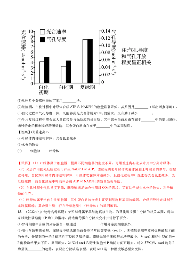 第6讲细胞质和生物膜系统（练习）（解析版）_2024年新高考资料_1.2024一轮复习_2024年高考生物一轮复习讲练测（新教材新高考）