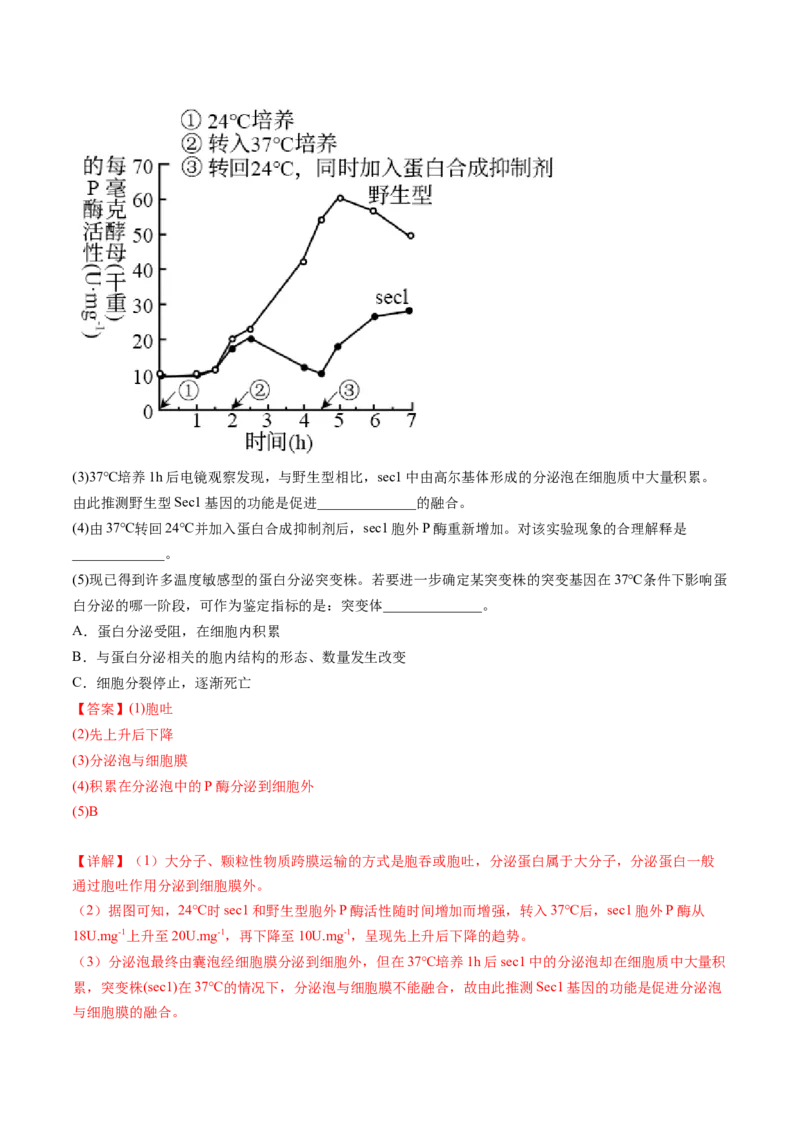第6讲细胞质和生物膜系统（练习）（解析版）_2024年新高考资料_1.2024一轮复习_2024年高考生物一轮复习讲练测（新教材新高考）