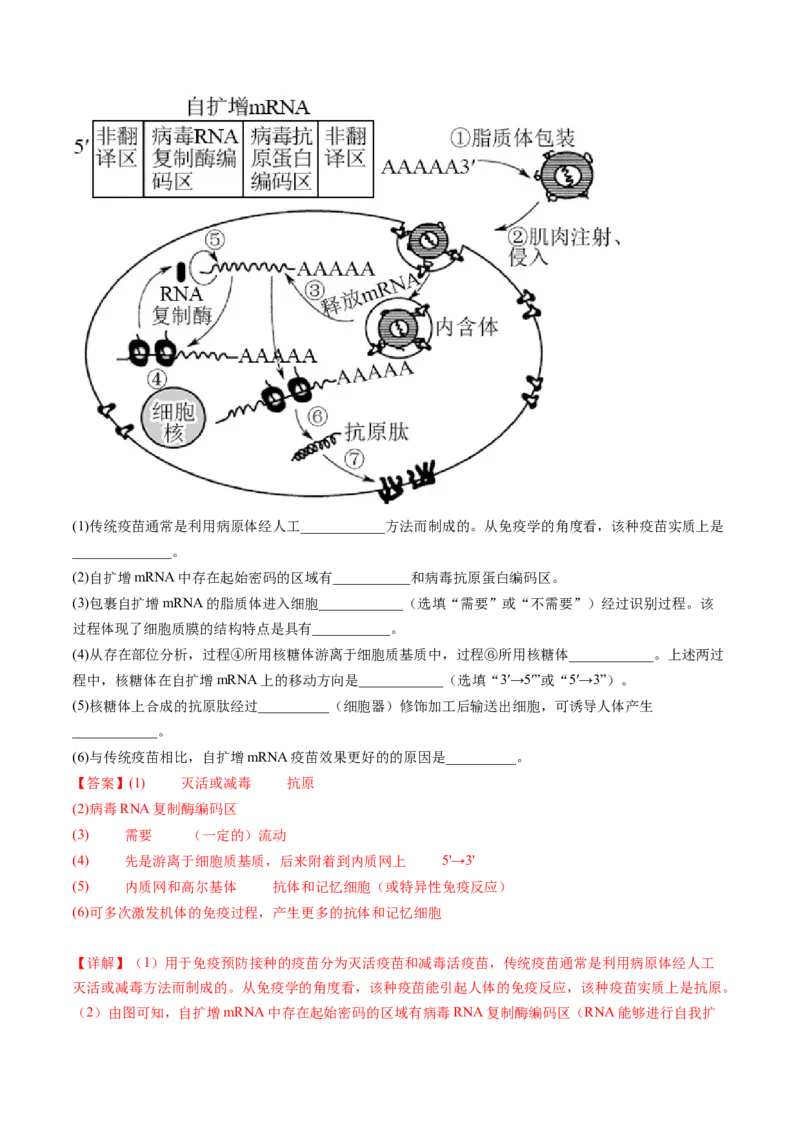 第6讲细胞质和生物膜系统（练习）（解析版）_2024年新高考资料_1.2024一轮复习_2024年高考生物一轮复习讲练测（新教材新高考）