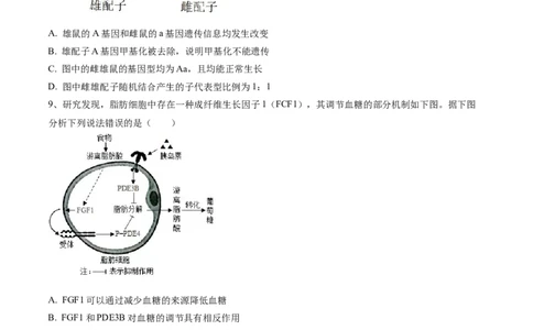 黄金卷01（考试版）-赢在高考&middot;黄金8卷备战2024年高考生物模拟卷（河北专用）_2024年新高考资料_4.2024高考模拟预测试卷
