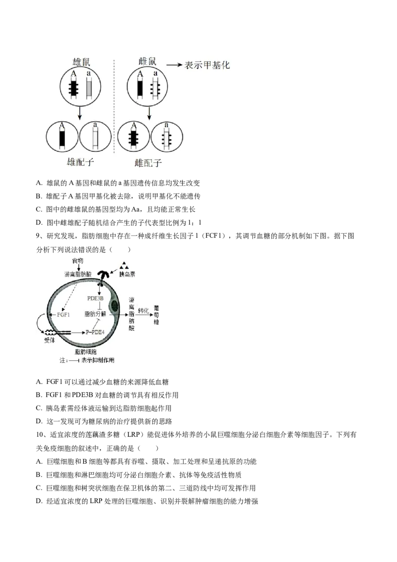 黄金卷01（考试版）-赢在高考&middot;黄金8卷备战2024年高考生物模拟卷（河北专用）_2024年新高考资料_4.2024高考模拟预测试卷