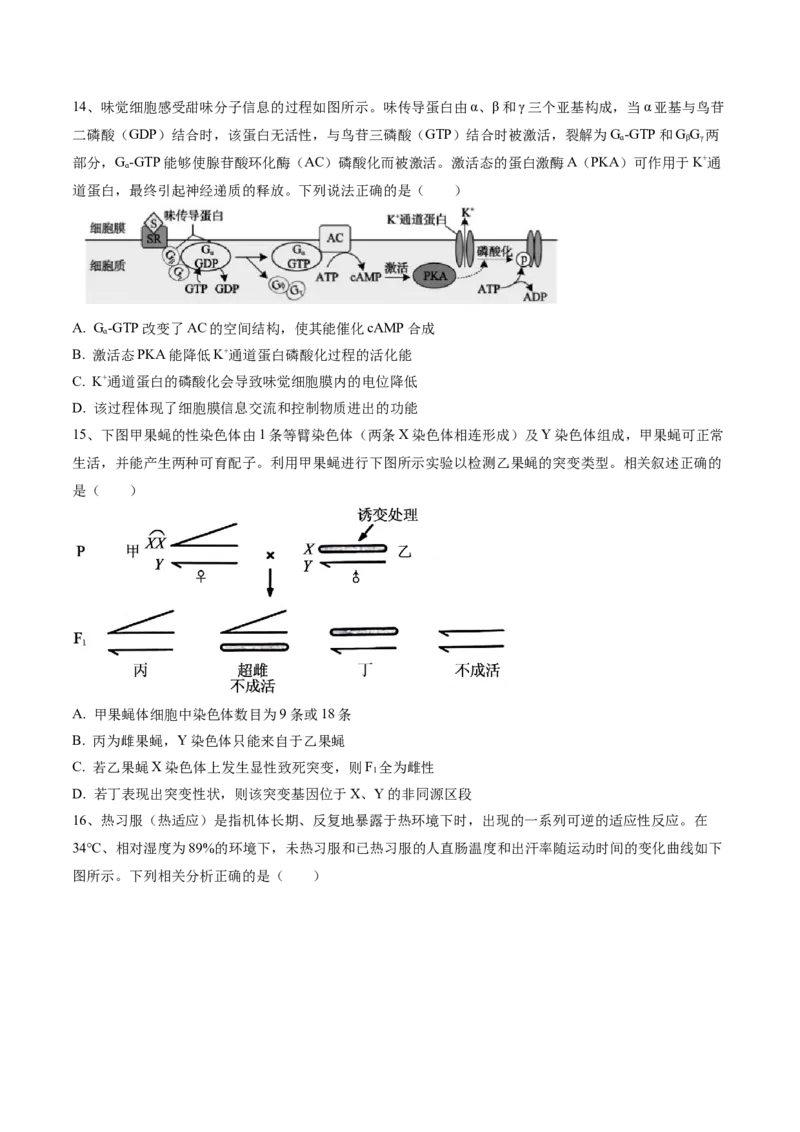 黄金卷01（考试版）-赢在高考&middot;黄金8卷备战2024年高考生物模拟卷（河北专用）_2024年新高考资料_4.2024高考模拟预测试卷