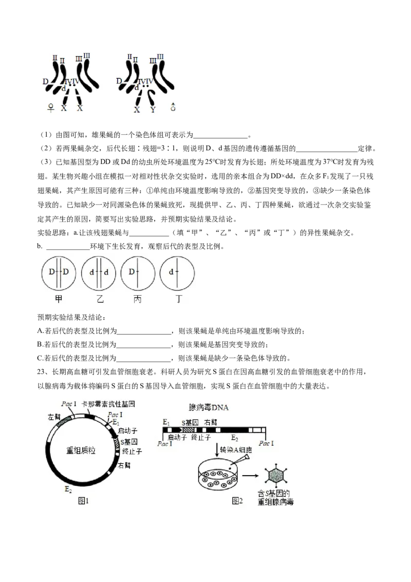 黄金卷01（考试版）-赢在高考&middot;黄金8卷备战2024年高考生物模拟卷（河北专用）_2024年新高考资料_4.2024高考模拟预测试卷