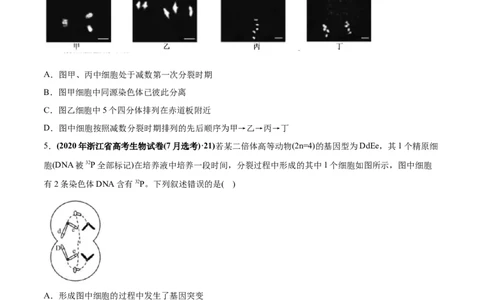 专题05有丝分裂和减数分裂-2020年高考真题和模拟题生物分项汇编（学生版）_新高考复习资料_2022年新高考复习资料_2022年一轮复习最新版_1.2022年高考生物一轮复习全国通用版