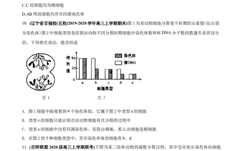 专题05有丝分裂和减数分裂-2020年高考真题和模拟题生物分项汇编（学生版）_新高考复习资料_2022年新高考复习资料_2022年一轮复习最新版_1.2022年高考生物一轮复习全国通用版