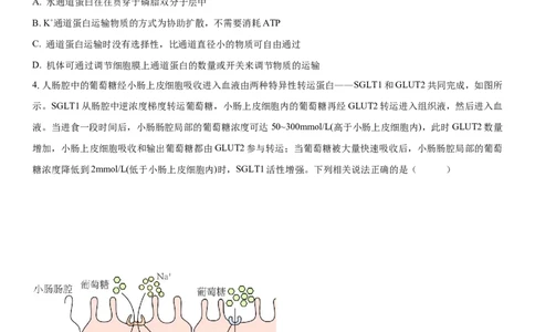 黄金卷02（原卷版）_2024年新高考资料_4.2024高考模拟预测试卷_赢在高考&middot;黄金8卷备战2024年高考生物模拟卷（湖南专用）31263208