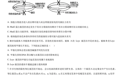 黄金卷02（原卷版）_2024年新高考资料_4.2024高考模拟预测试卷_赢在高考&middot;黄金8卷备战2024年高考生物模拟卷（湖南专用）31263208