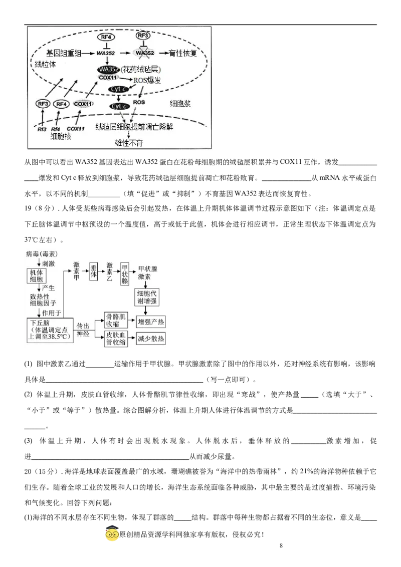 黄金卷02（原卷版）_2024年新高考资料_4.2024高考模拟预测试卷_赢在高考&middot;黄金8卷备战2024年高考生物模拟卷（湖南专用）31263208