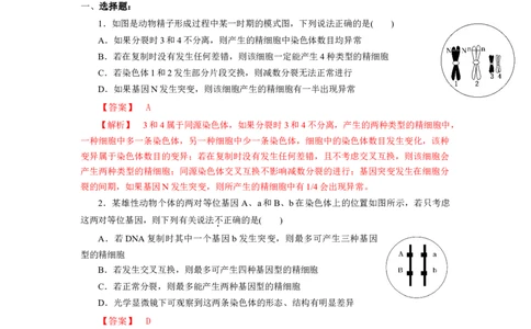专题04减数分裂过程异常的情况分析-备战2021年高考生物核心考点透析（解析版）_新高考复习资料_2021年新高考资料_备战2021年高考生物核心考点透析