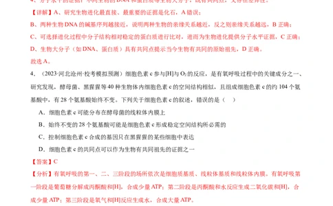 考点通关卷24生物的进化（解析版）_2024年新高考资料_1.2024一轮复习_2024年高考生物一轮复习考点通关卷（新高考通用）_考点通关卷24+生物的进化-2024年高考生物一轮复习考点通关卷