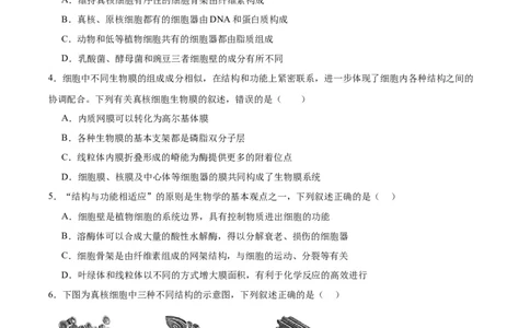 考点通关卷06细胞器和生物膜系统（原卷版）_2024年新高考资料_1.2024一轮复习_2024年高考生物一轮复习考点通关卷（新高考通用）