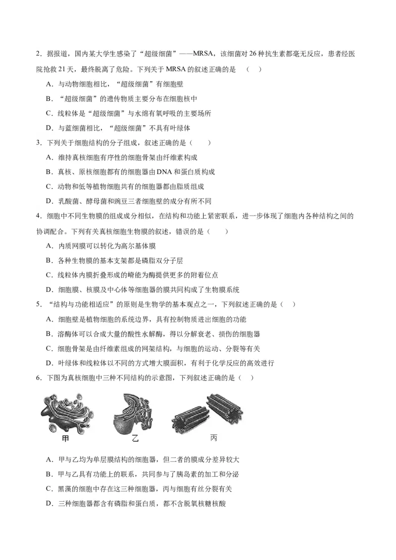 考点通关卷06细胞器和生物膜系统（原卷版）_2024年新高考资料_1.2024一轮复习_2024年高考生物一轮复习考点通关卷（新高考通用）