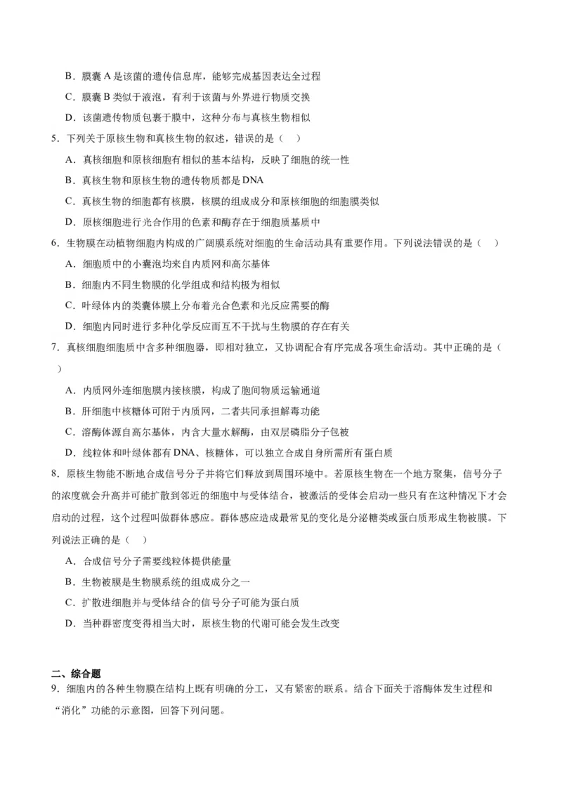 考点通关卷06细胞器和生物膜系统（原卷版）_2024年新高考资料_1.2024一轮复习_2024年高考生物一轮复习考点通关卷（新高考通用）