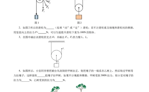 12.3滑轮（分层作业）原卷版_初物_八年级上下册+九年级全一册物理_八年级物理下册_分层作业（更新中）