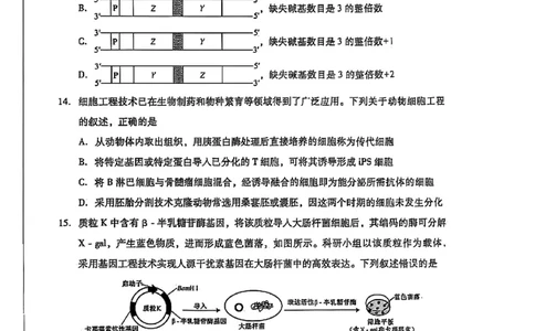 2025安徽生物_历年全国高考真题_2025全国各省高考真题+答案_安徽卷_生物