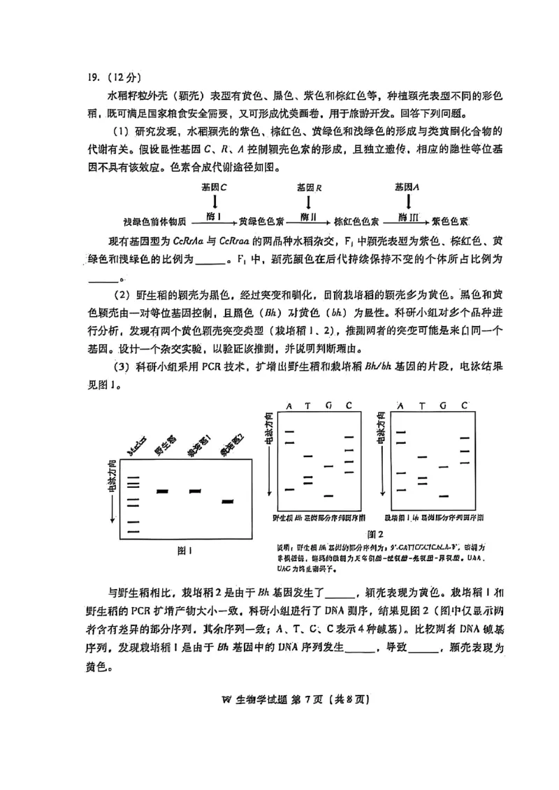 2025安徽生物_历年全国高考真题_2025全国各省高考真题+答案_安徽卷_生物