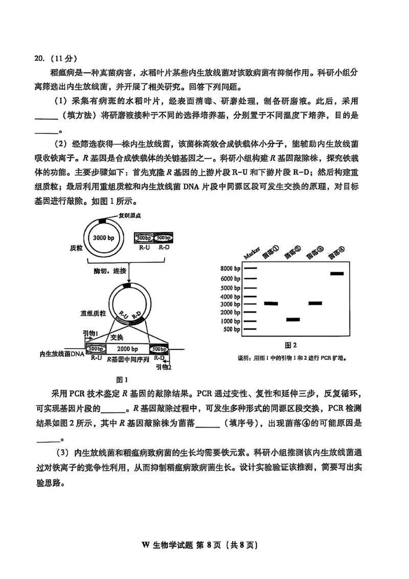 2025安徽生物_历年全国高考真题_2025全国各省高考真题+答案_安徽卷_生物