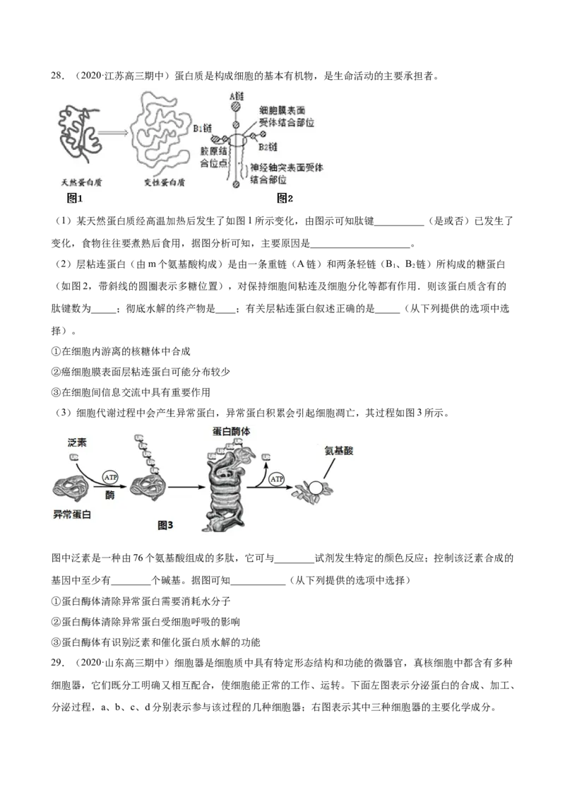 专题01细胞的结构与分子组成-2021年高考真题和模拟题生物分项汇编（原卷版）_新高考复习资料_2022年新高考复习资料_2021年高考真题和模拟题生物分项汇编7.30更新