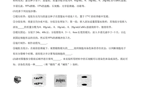 考点通关卷12细胞增殖（原卷版）_2024年新高考资料_1.2024一轮复习_2024年高考生物一轮复习考点通关卷（新高考通用）_考点通关卷12+细胞增殖-2024年高考生物一轮复习考点通关卷