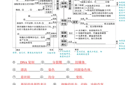 专题03细胞的生命历程（讲义）（解析版）_新高考复习资料_2024年新高考复习资料_二轮复习资料_高频考点解密2024年高考生物二轮复习高频考点追踪与预测（新高考专用）_讲义