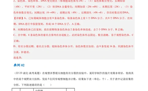 专题03细胞的生命历程（讲义）（解析版）_新高考复习资料_2024年新高考复习资料_二轮复习资料_高频考点解密2024年高考生物二轮复习高频考点追踪与预测（新高考专用）_讲义
