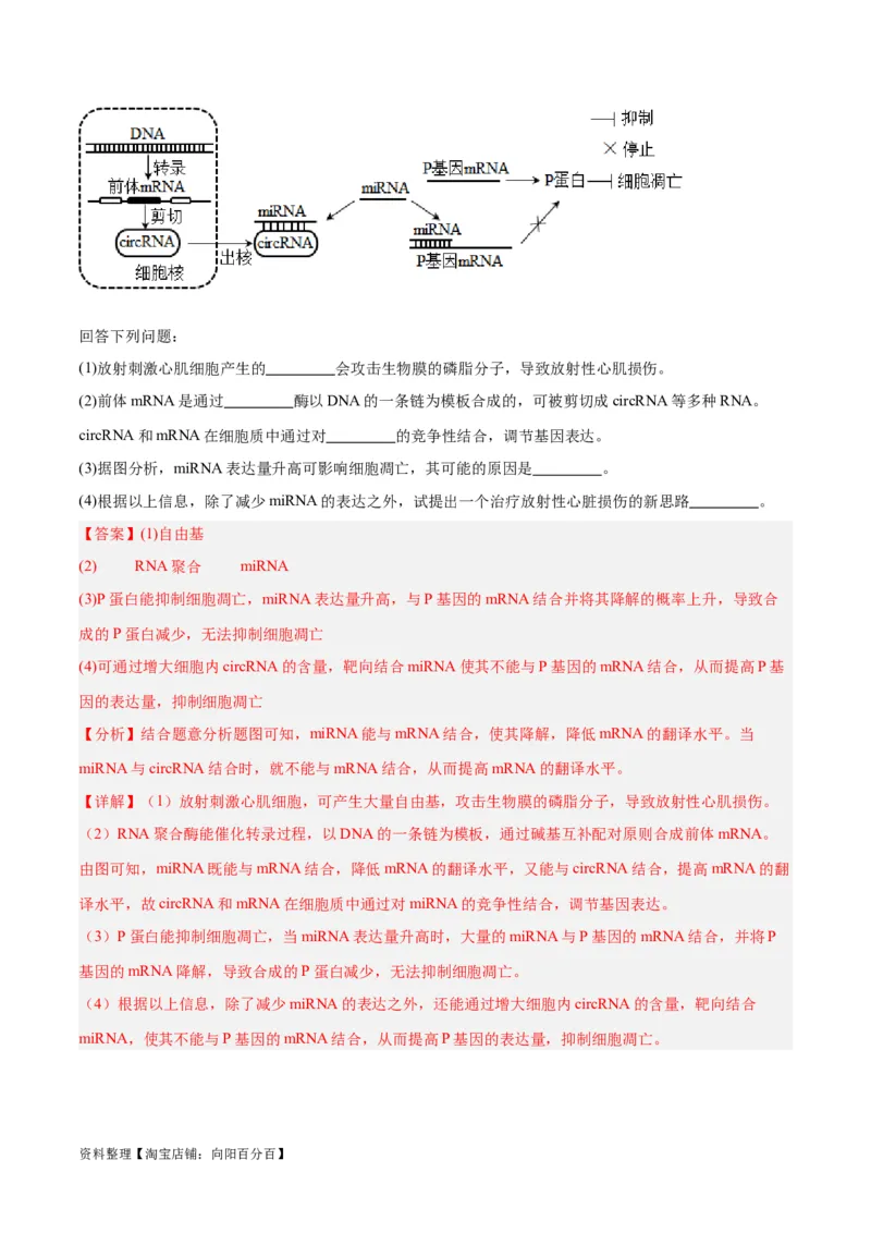 专题03细胞的生命历程（讲义）（解析版）_新高考复习资料_2024年新高考复习资料_二轮复习资料_高频考点解密2024年高考生物二轮复习高频考点追踪与预测（新高考专用）_讲义