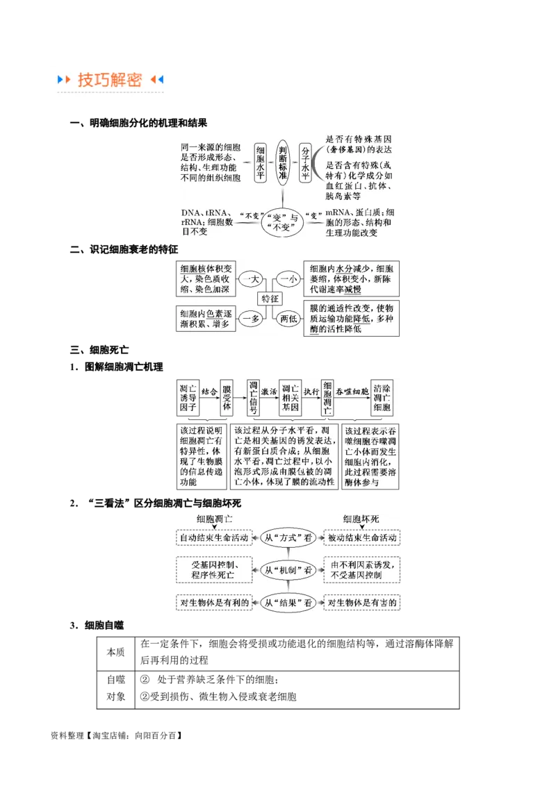 专题03细胞的生命历程（讲义）（解析版）_新高考复习资料_2024年新高考复习资料_二轮复习资料_高频考点解密2024年高考生物二轮复习高频考点追踪与预测（新高考专用）_讲义