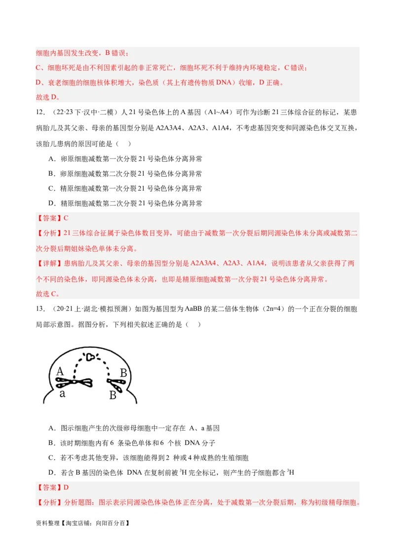 专题03细胞的生命历程（讲义）（解析版）_新高考复习资料_2024年新高考复习资料_二轮复习资料_高频考点解密2024年高考生物二轮复习高频考点追踪与预测（新高考专用）_讲义