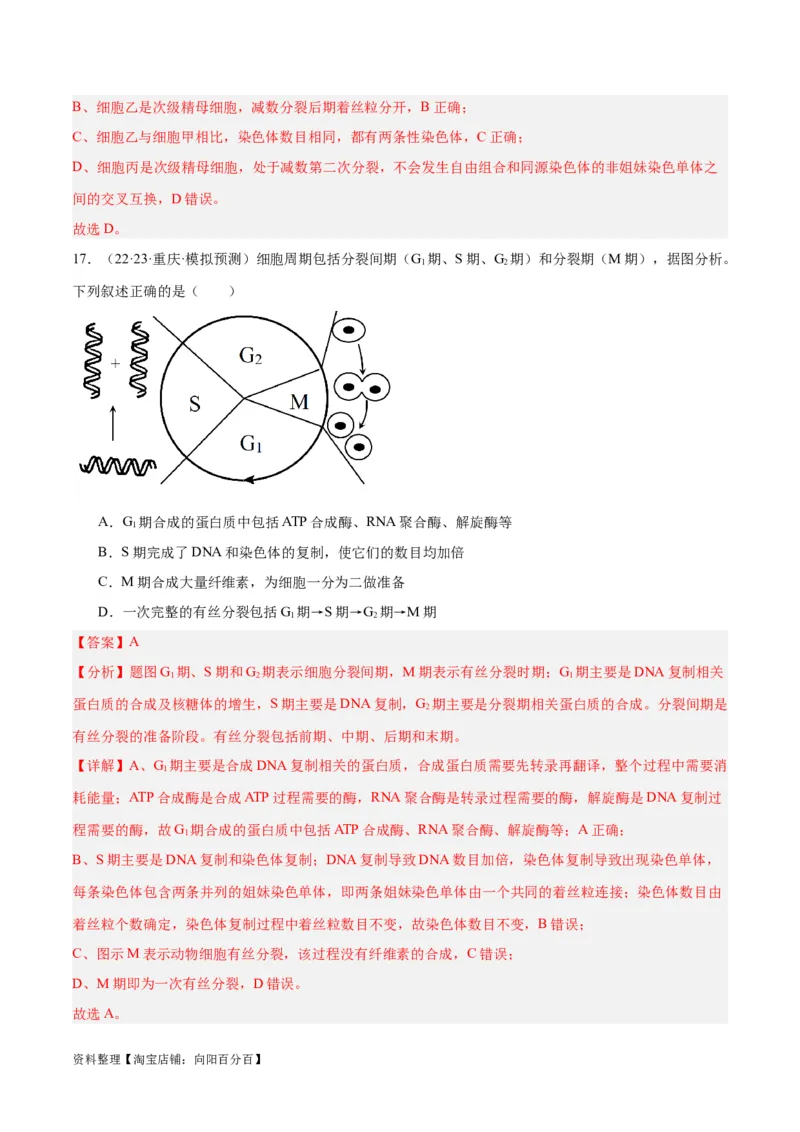 专题03细胞的生命历程（讲义）（解析版）_新高考复习资料_2024年新高考复习资料_二轮复习资料_高频考点解密2024年高考生物二轮复习高频考点追踪与预测（新高考专用）_讲义